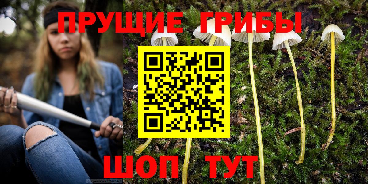 Псилоцибиновые грибы GOLDEN TEACHER Изобильный